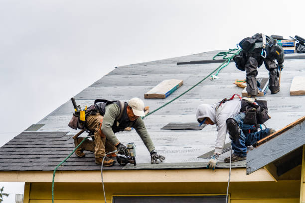 Professional Flat Roof Repair technician working in Zwingle, IA